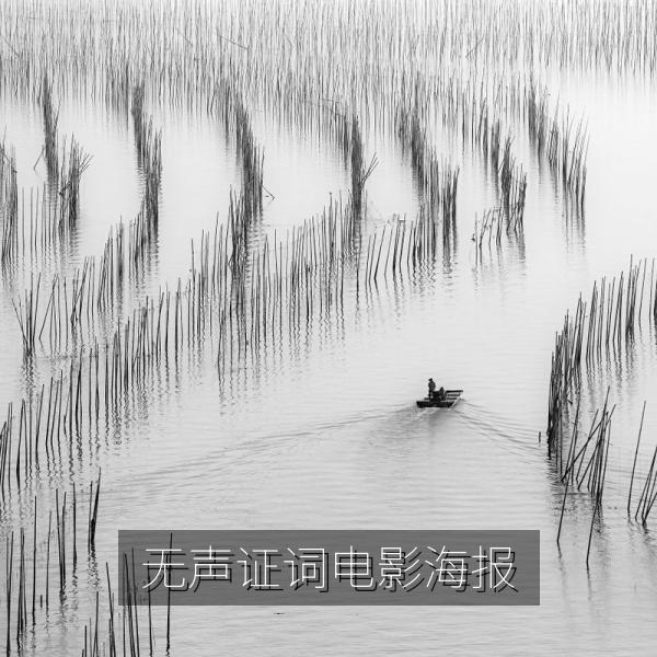 无声证词电影海报